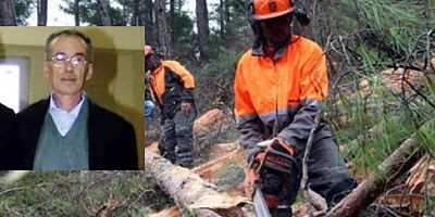 Kestiği ağacın altında kalan orman işçisi yaşamını yitirdi