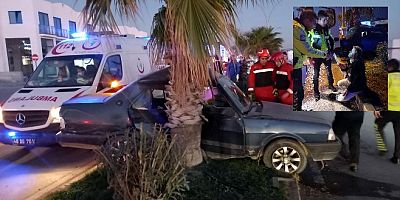 Konacık'ta feci kaza, alkollü sürücüyü palmiye ağaçları durdurabildi