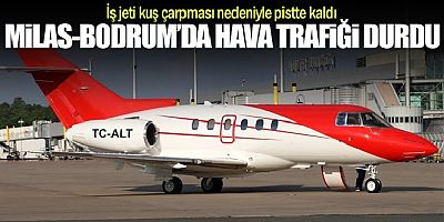 Kuş çarpması nedeniyle Milas Bodrum Havalimanı’nda  hava trafiği durdu