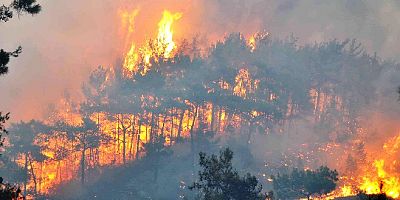 Marmaris yangınında  500 hektar ormanlık alan kül oldu 