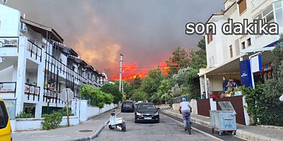 Marmaris Armutalan ormanları alev alev yanıyor, evler tehlike altında