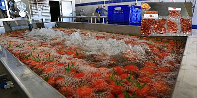 Meyve Sebze kurutma tesisinde yılda 24 bin 700 kg ürün kurutuldu