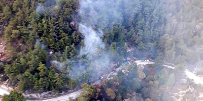 Milas Labranda'daki orman yangını kontrol altında
