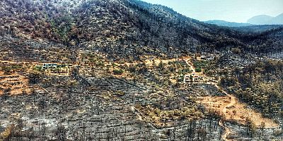 Milas’ta 8 bin 480 hektar ormanlık alan kül oldu