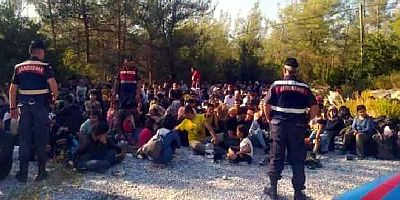 Milas’ta ormanlık alana bırakılan göçmenler yakalandı