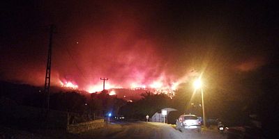 Milas’taki orman yangını Bodrum’a ulaştı