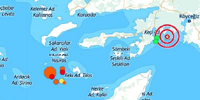 Muğla açıklarında 4.6 deprem, Bodrum'da hissedildi