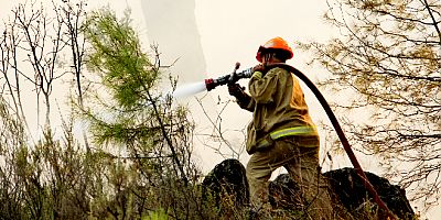 Muğla’da bu yıl  328 yangında 813 hektar orman kül oldu