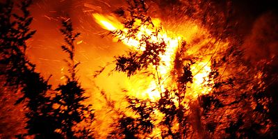 Muğla ormanları alev alev, üç ilçede yangınlar önlenemiyor