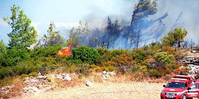 Muğla-Denizli il sınırındaki ormanlık alanda yangın çıktı.