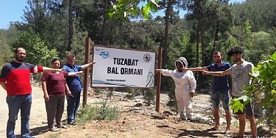 Muğla İdare Mahkemesi, Milas- Tuzabat Bal Ormanlarının Lehine Karar Verdi
