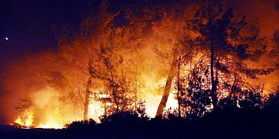  Muğla Valiliği’nden vatandaşlara yangın uyarısı “Vatandaşlarımızı Orman Yangınlarına Karşı Duyarlı ve Dikkatli Olmaya Davet Ediyoruz