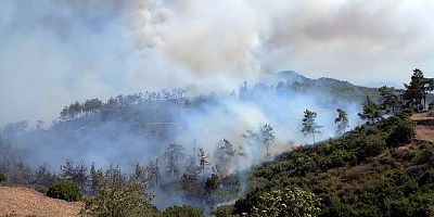 Nazilli’de orman yangını başladı