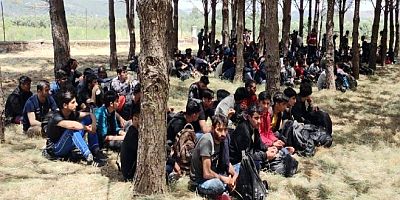 Ormanda 237 göçmen 4 organizatör yakalandı