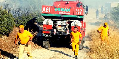 Ormanlık alanlarda ateş yakılmaması genelgesi , ağır cezalar geliyor
