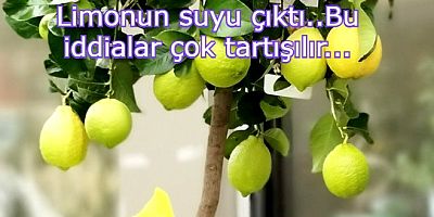 Osman Gökmen: Bodrum Belediyesi’nin limonlarını satın aldığı çiftçi Ortaca'da yok..!