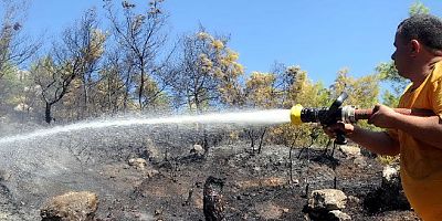 Pınarlıbelen'de orman yangını