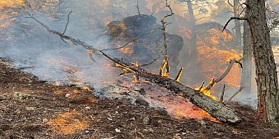 Rodos Adası 5 gündür yanıyor köyler tahliye ediliyor