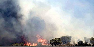 Semadirek Adası’nda büyük orman yangını başladı, durdurulamıyor