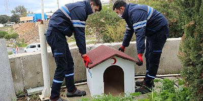 Sokak hayvanları için “Sevgi Çatısı” projesi başlatıldı