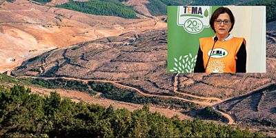 TEMA: 107 bilim insanının hazırladığı  Arazi Özel Raporu Türkçe'ye çevrildi