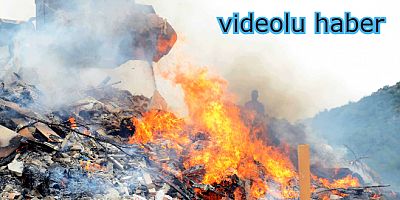 Torba'da çöp yakarken ormanı yakıyorlardı