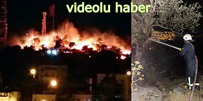 Turgutreis'te evler yanıyordu, zeytin ağaçları kül oldu