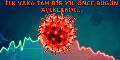 Türkiye'de ilk koronavirüs vakasının üstünden 1 yıl geçti