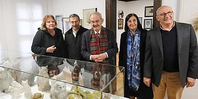 Türkiye’nin ilk, Avrupa’nın ikinci ‘Kedi Müzesi’  açıldı