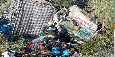 Uçuruma yuvarlanan tüm kamyonunun şoförü, atladı ancak yaşamını yitirdi