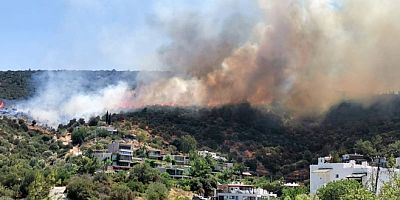 Umurça'da yangın paniği, evlere 100 mt kaldı
