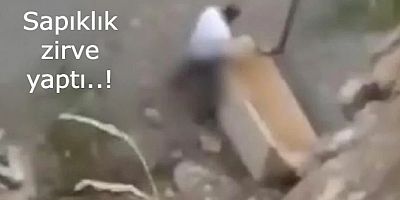 Yavru köpeğe tecavüz eden 60 yaşındaki bekçiye hapis