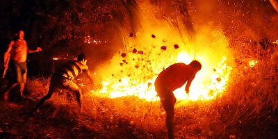 Yokuşbaşı'nda orman yangınını vatandaşların dikkati önledi