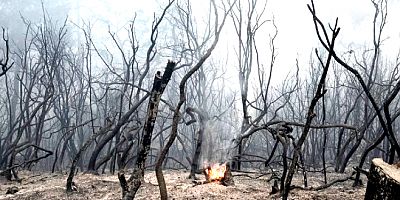 Yunanistan Akdeniz’de orman yangınlarında birinci