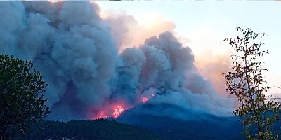 Yunanistan’da yangın dehşeti: Ormanda 18 kişinin yanmış  cesedi bulundu