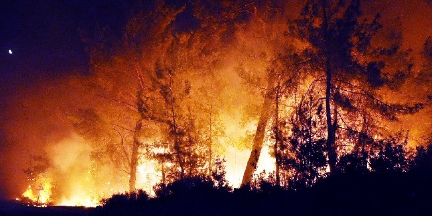 Ula’da orman yangını