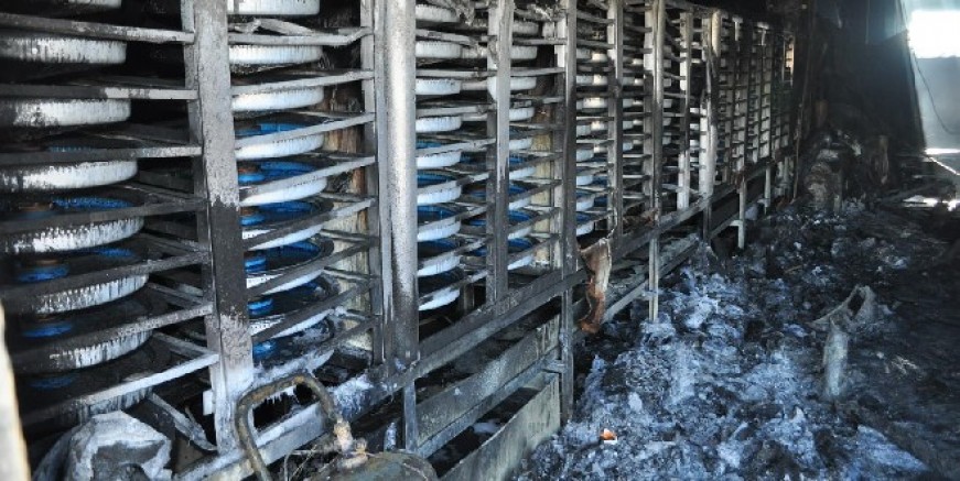 Yavru balık üretim tesisinde yangın çıktı 39 milyon balık telef oldu