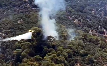 Muğla’da Orman Yangını Başladı