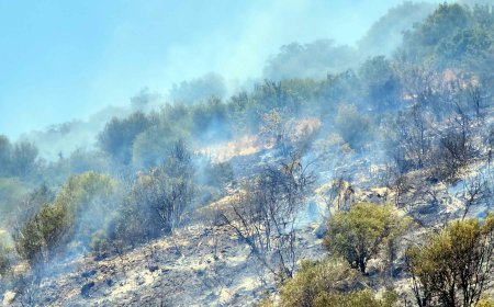 Tarım Arazilerinde Çıkan Yangın Akaryakıt İstasyonuna Yöneldi