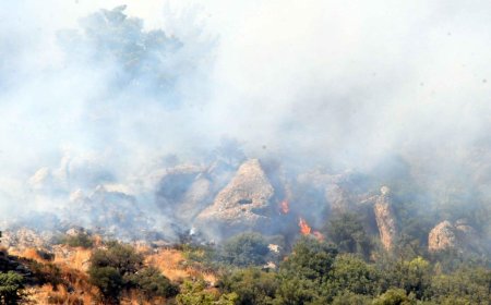 Gündoğan Farilya’da Spiralle Demir Keserken Ormanı Yaktılar, Evler Yanıyordu