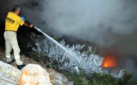 Aydın'da 35 Hektar Orman Kül Oldu, Yangın Kontrol Altında