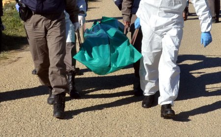 Gölköy'de Ormanlık Alanda Ağaca Asılı Halde Bulundu