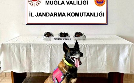 Yolcu Otobüsünde Uyuşturucu Operasyonu, 2 Kişi  Gözaltında