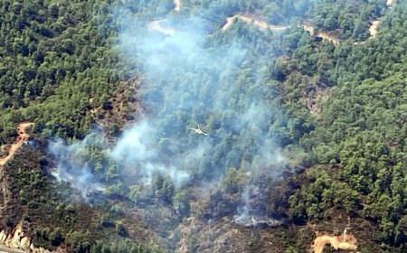 Köyceğiz'de Orman Yangını Başladı