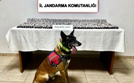 Bodrum'da Uyuşturucu Operasyonu: 4.756 Sentetik Hap Ele Geçirildi