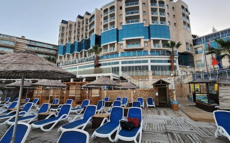 Otelde Sokak Hayvanları İçin 5 Yıldızlı Barınak Projesi Hayata Geçiriliyor