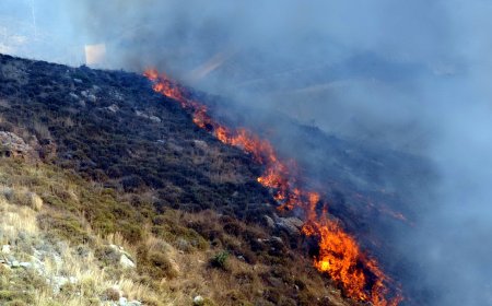 Akyarlar'da Yangın Tatilcileri Korkuttu