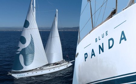 Blue Panda, Mavi Ormanlar için Türkiye'ye Yelken Açtı