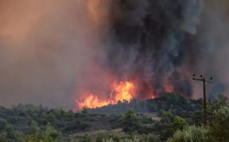 Yunanistan Alev Alev 24 Saatte 30 Orman Yangını Çıktı