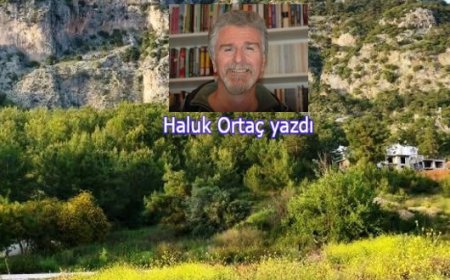 Muğla’da Baraj yapacağına, Suyun Düşmanı Termik Santralleri Kapat !